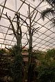 leipzig zoo-01_07_2011_gondwanaland_108